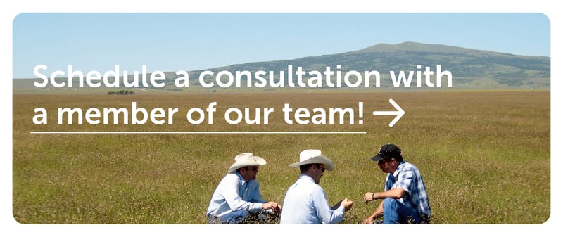 men in a grass field with text that says schedule a consultation with our team